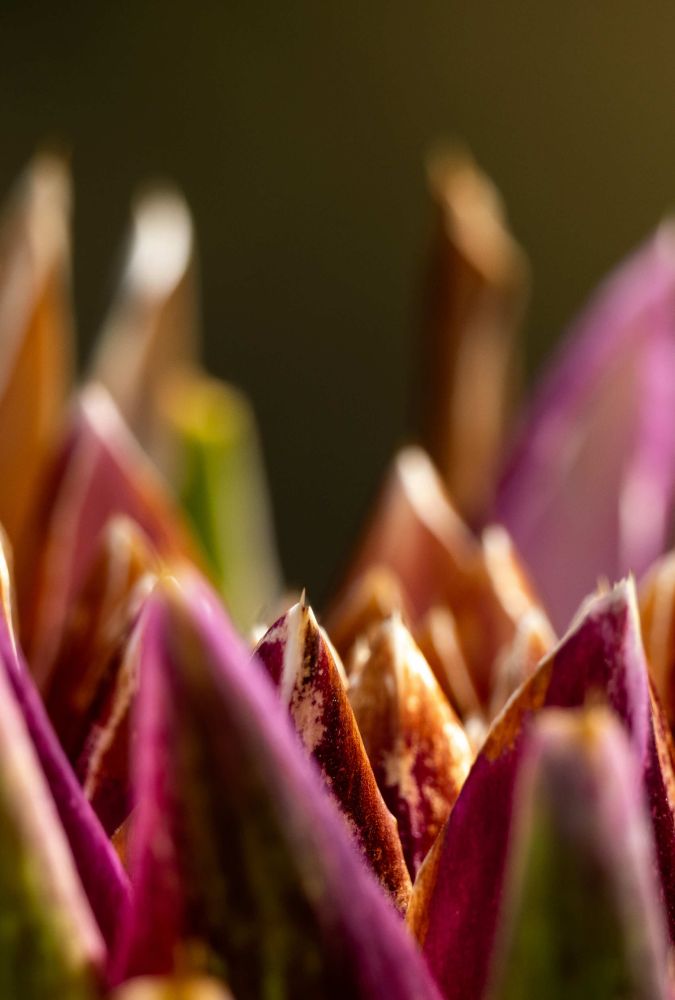 14 Rang 130  Pircher Monika